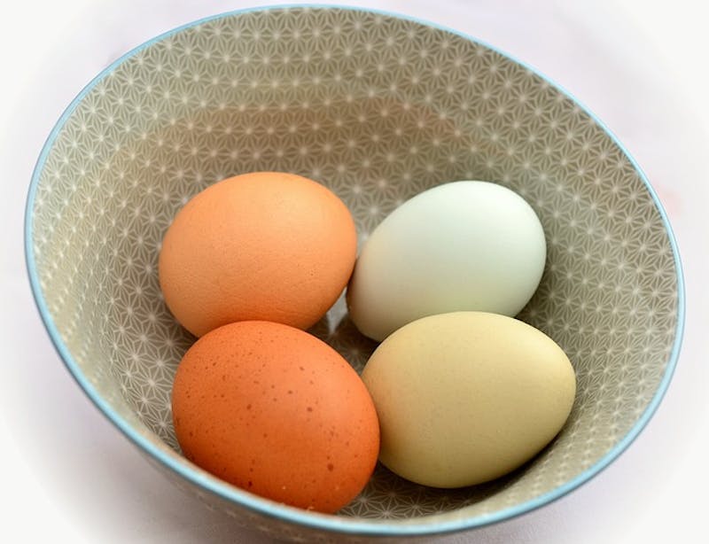 eggs in a bowl on a white table with a blue rim