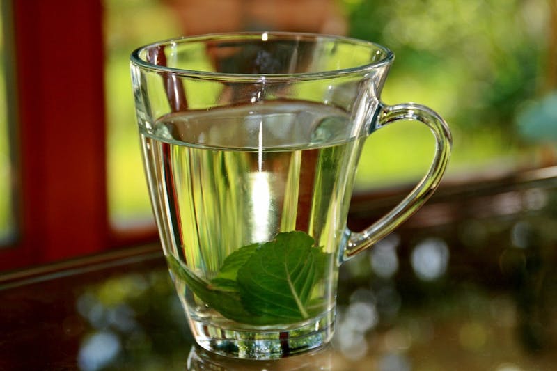 there is a glass cup of water with a leaf in it