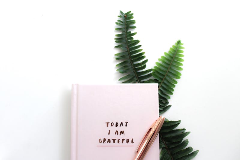 pink today I am grateful journal with pen and leaves