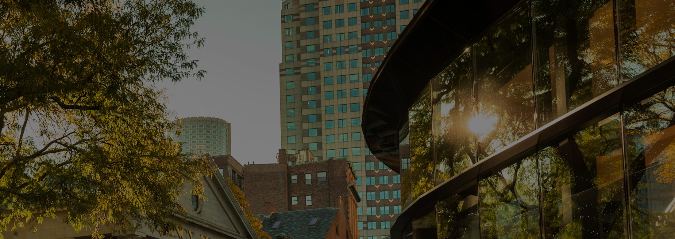 Banner media