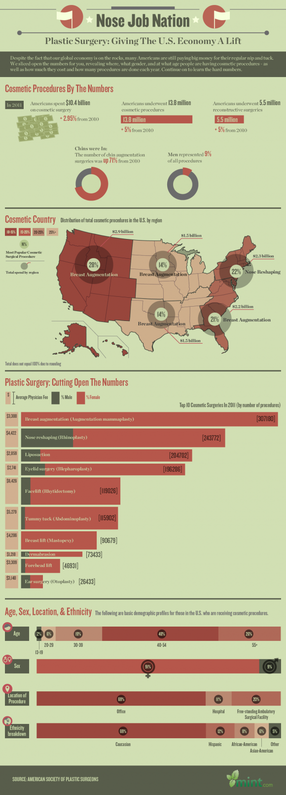 Plastic Surgery in the U.S