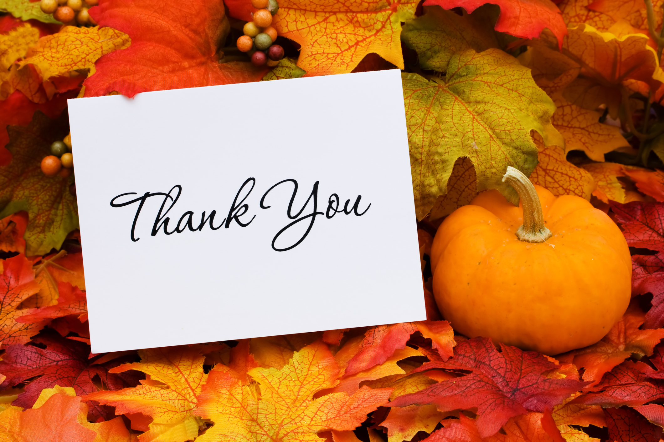 Thank you card