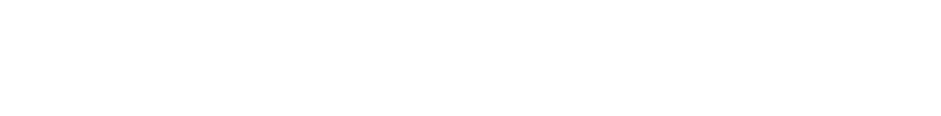 The Spiegel Center Website Logo