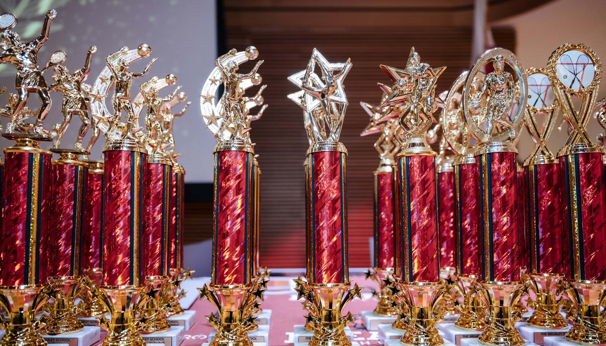 A collection of Athletic Awards
