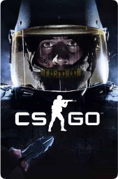 CS:GO game cover