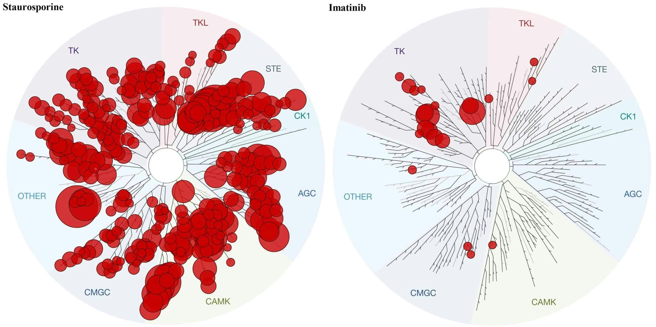 The Post Gleevec Era