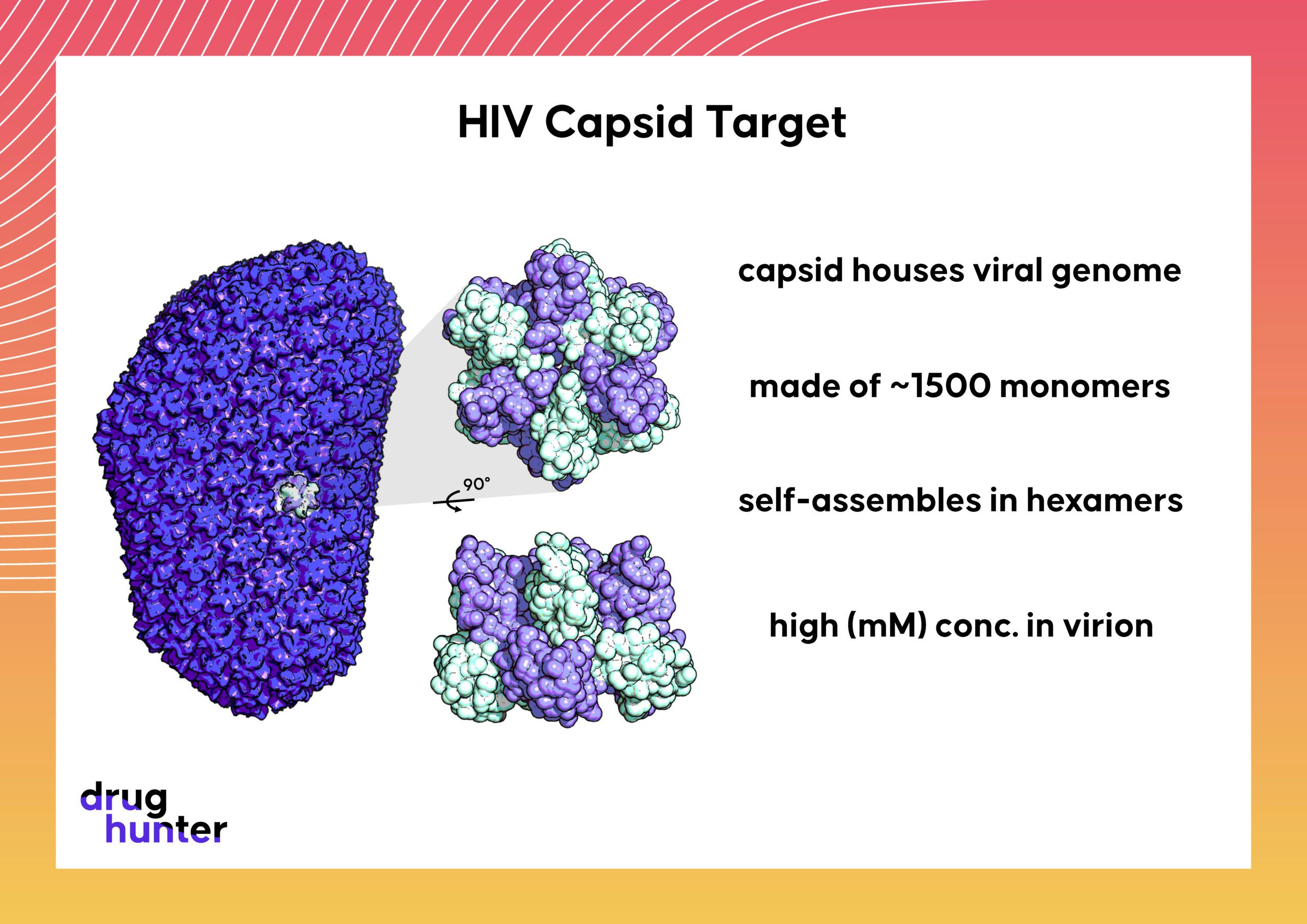 Lenacapavir: 2020 Small Molecule of the Year