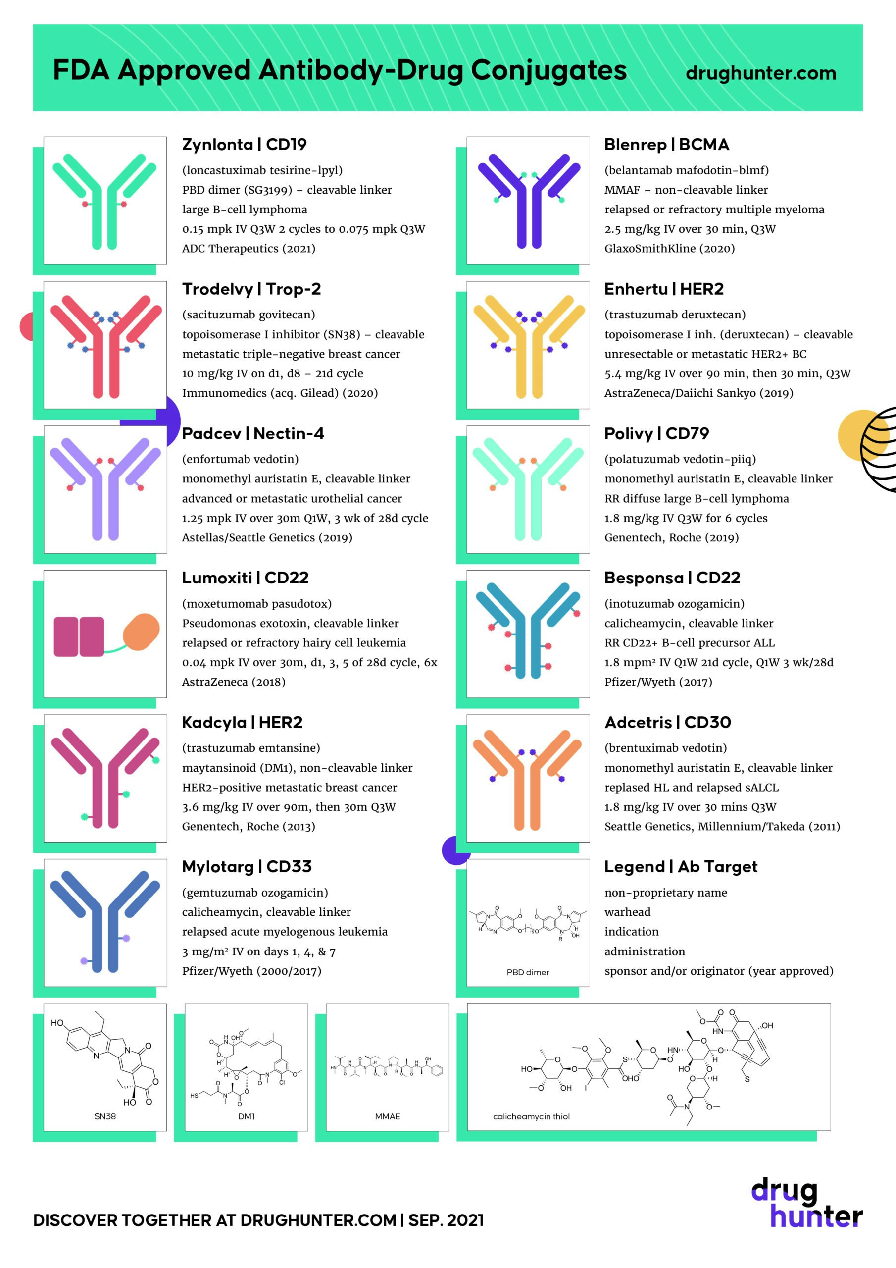 The Resurgence of AntibodyDrug Conjugates FDA Approved ADCs and