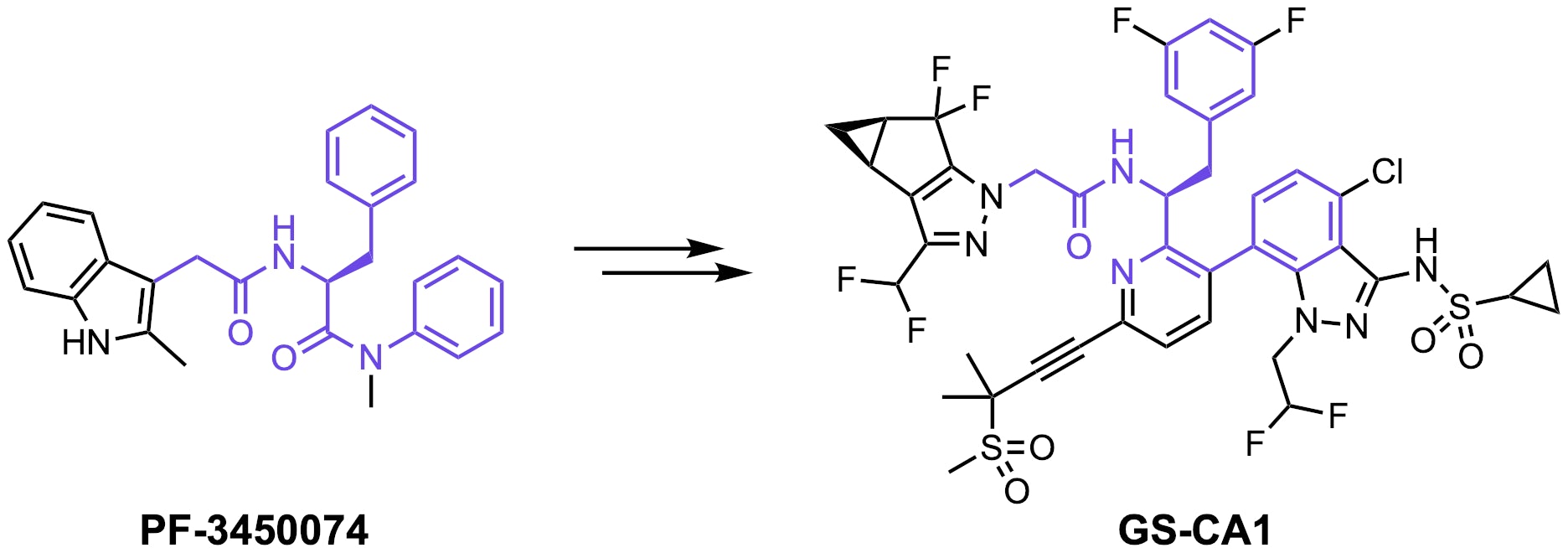 Lenacapavir Synthesis Highlights