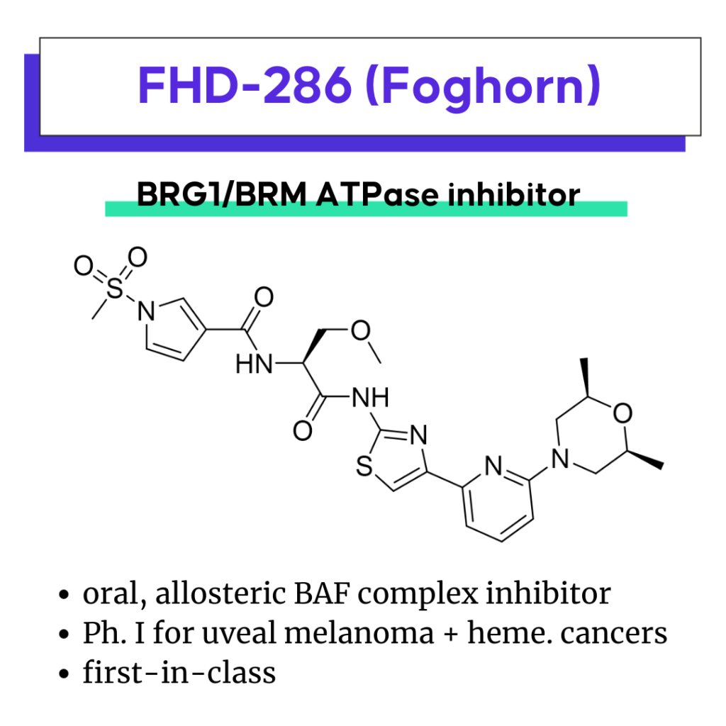 ナポレオンヒル PMAプログラム PMA Ⅰ.Ⅱ New Drug Candidates at AACR New Orleans 2022