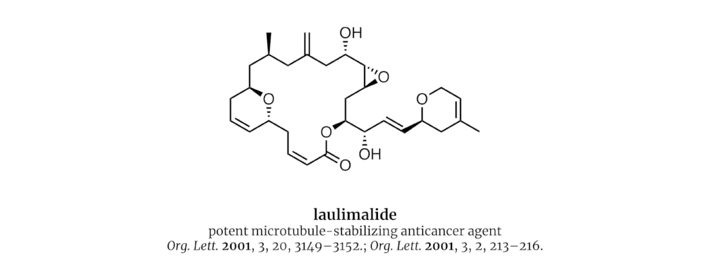 laulimalide potent microtubule-stabilizing anticancer agent