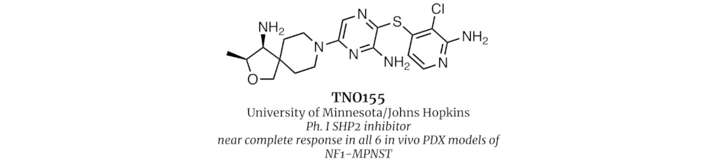 TNO155
University of Minnesota/Johns Hopkins
Ph. I SHP2 inhibitor
near complete response in all 6 in vivo PDX models of NF1-MPNST