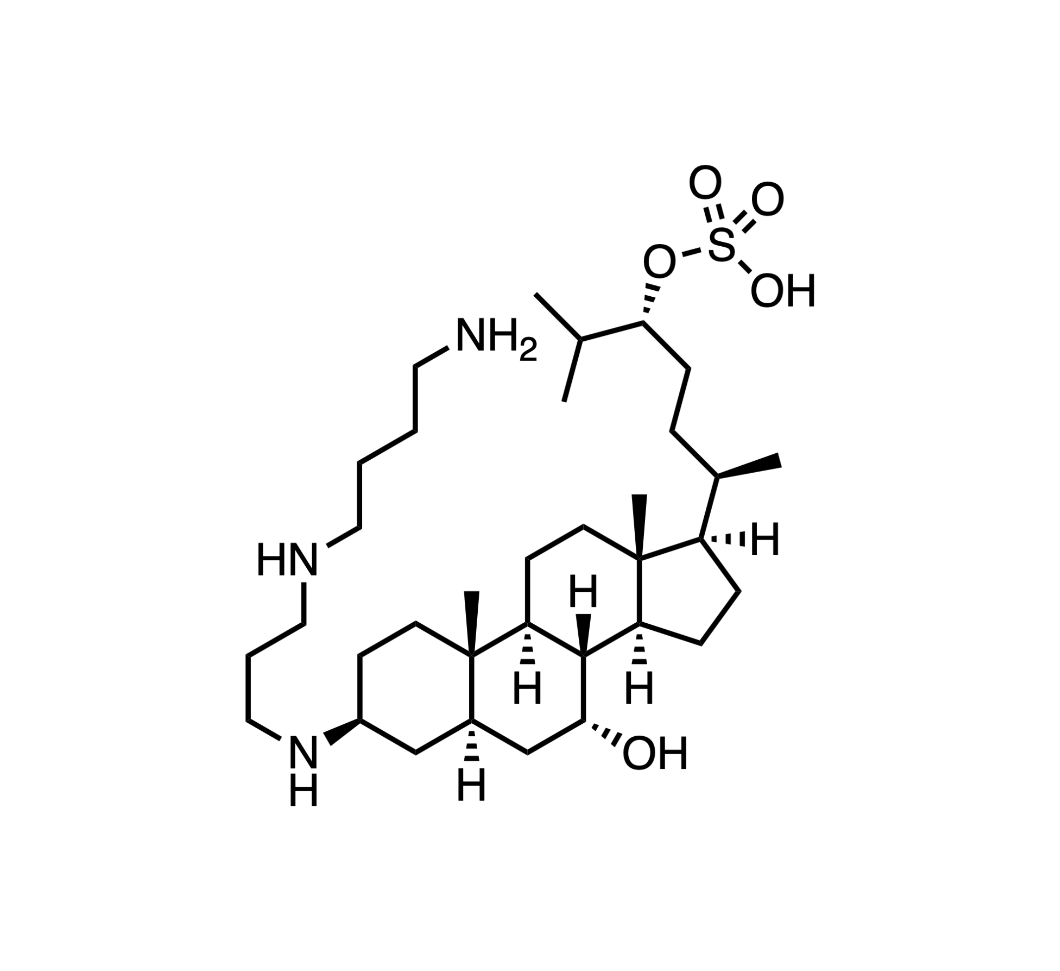 ENT-01 chemical structure oral ⍺-synuclein aggregation inhibitor- Enterin Inc., Philadelphia, PA||