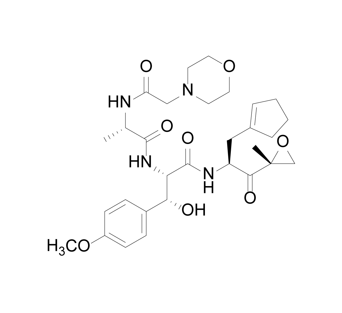 Chemical structure of KZR-616 Kezar Life Sciences covalent immunoproteasome inhibitor