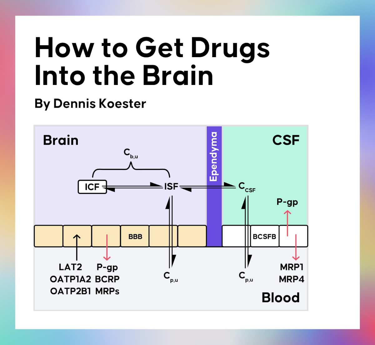 How to Get Drugs Into the Brain
