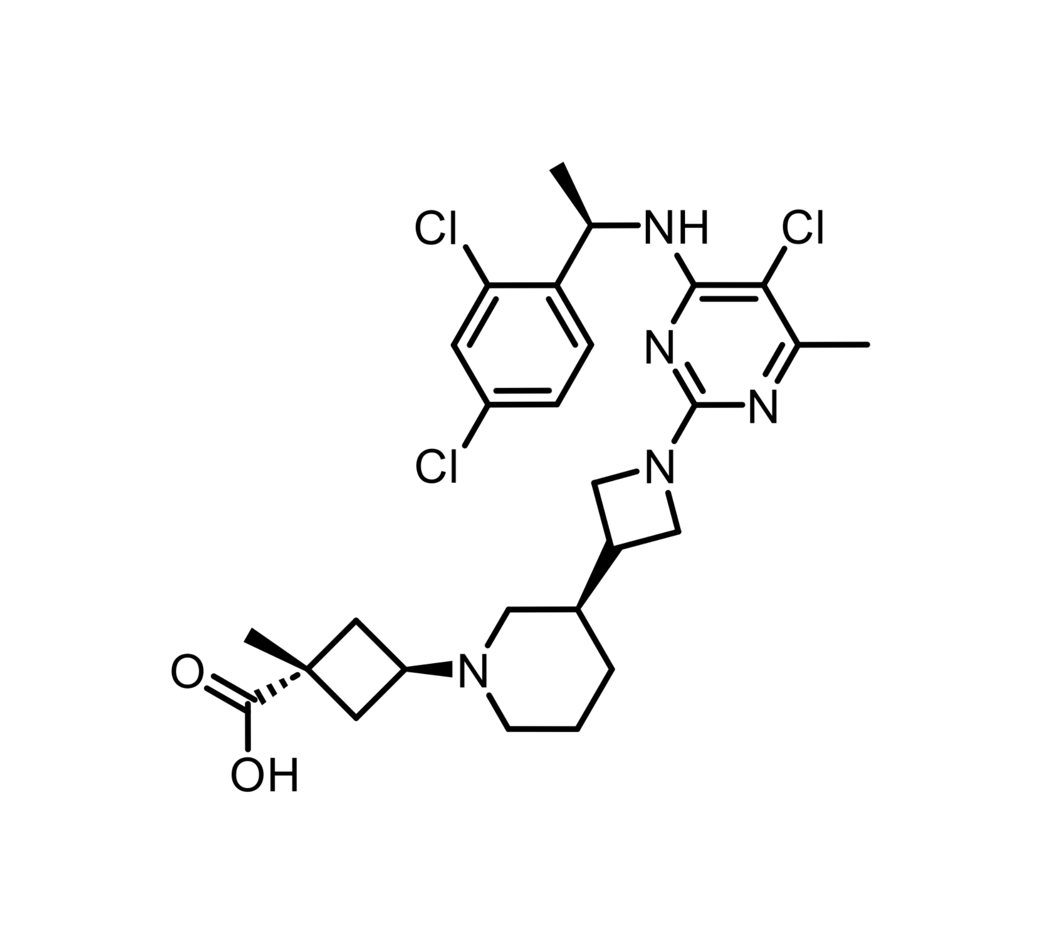 rpt193