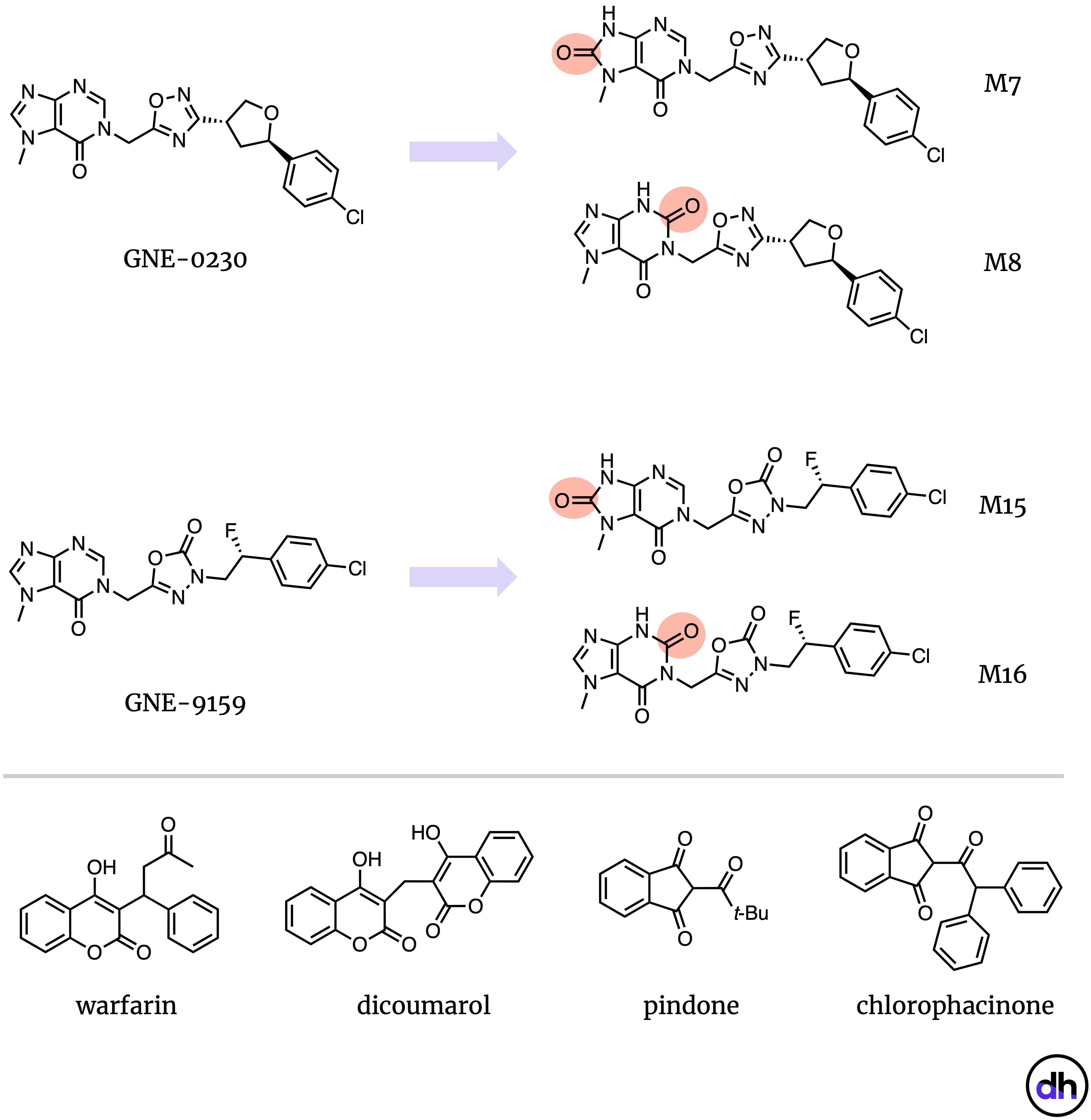 Figure 4. MetID studies for GNE-0230 and GNE-9159 revealed significant levels of metabolites arising from oxidation, which was suspected to be mediated by AO. Metabolites like M8 and M16 show a conspicious similarity to the tricarbonyl-containing warfarin class of anticoagulants.