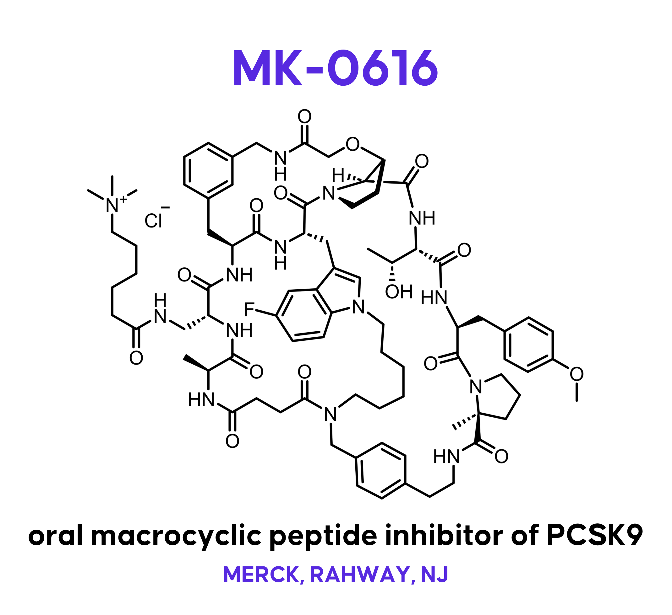 e Otsuka Physical Structure オリジナル Enlicitide (MK-0616)