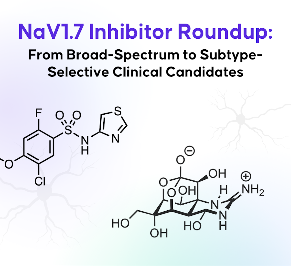 NaV1.7 Inhibitor Roundup: From Broad-Spectrum to Subtype-Selective ...