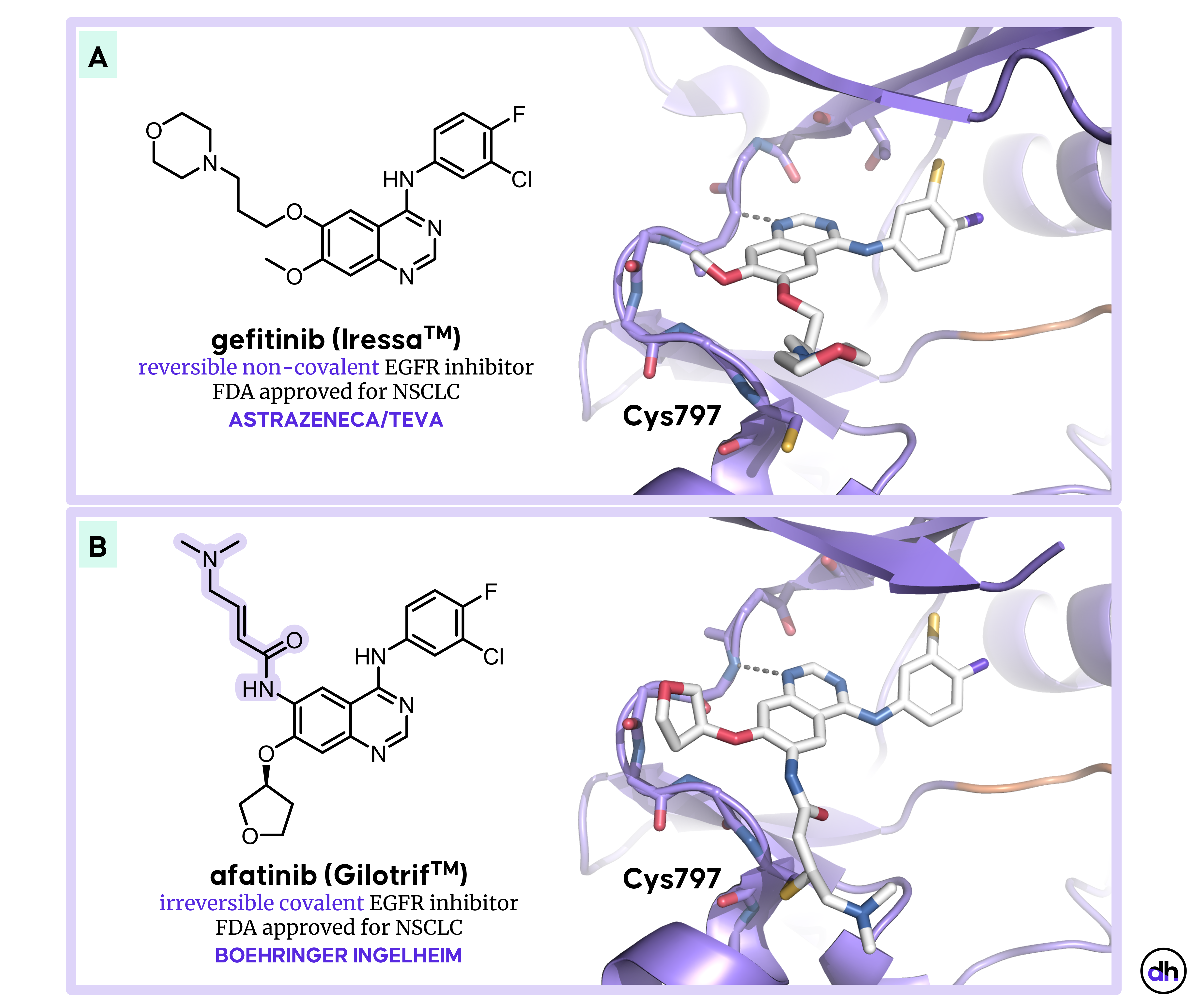 Cheat Sheet for Covalent Enzyme Inhibitors