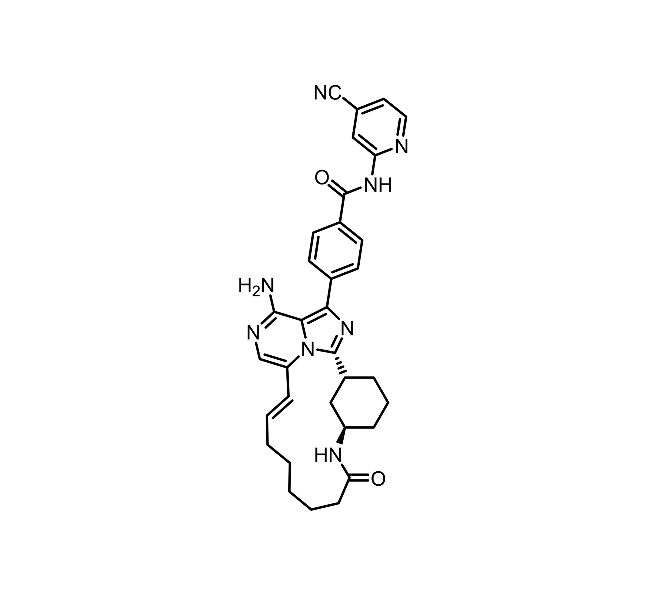 mezigdomide (CC-92480)