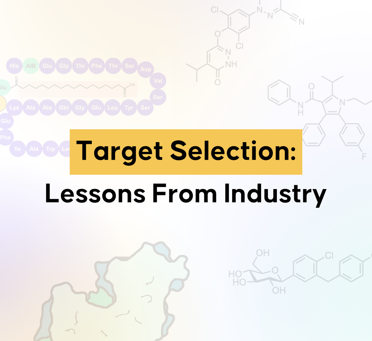 Target Selection: Lessons From Industry