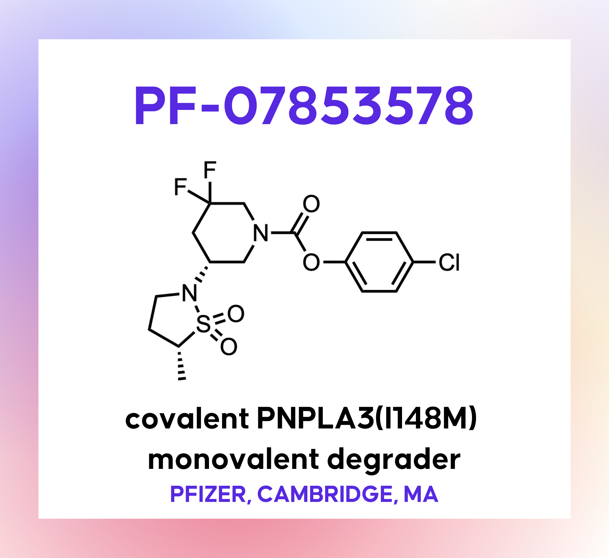 薬物治療学 VISUAL CORE PHARMA Amazon.co.jp: visual core pharma 薬物治療学 : 吉尾 隆