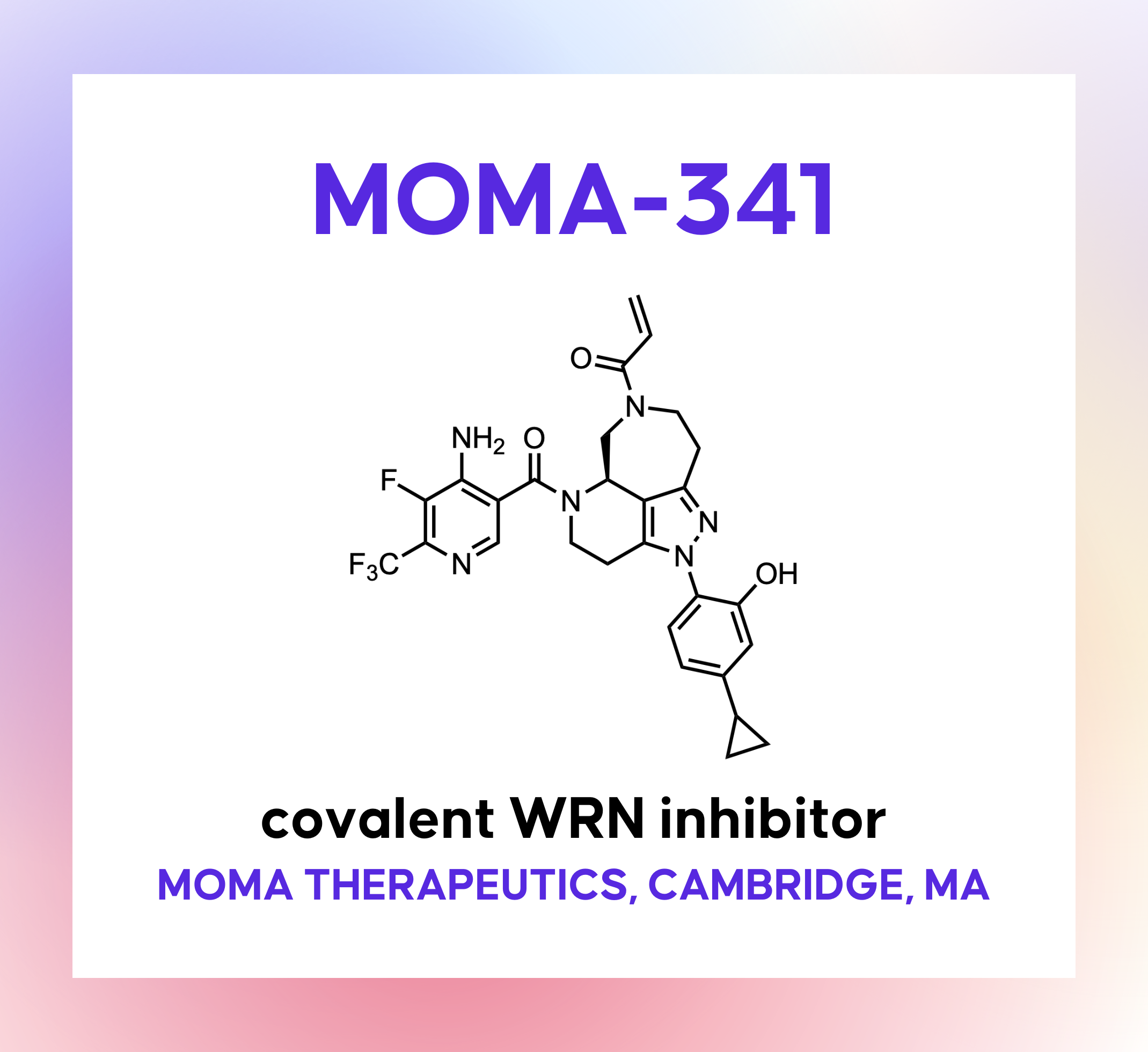 Mowl Capsuloid カプセロイド 9月21日20時発売】CAPSULOID | 日本のメーカー,mowl