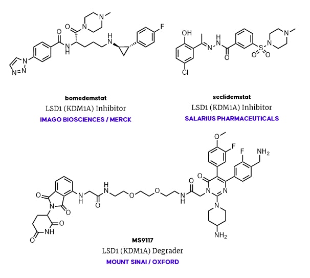 From Inhibitors to Degraders: Many Ways to Target LSD1 (KDM1A)