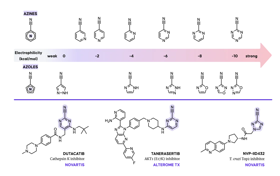 Neglected Nitriles: An Underutilized Cysteine Reactive Warhead?