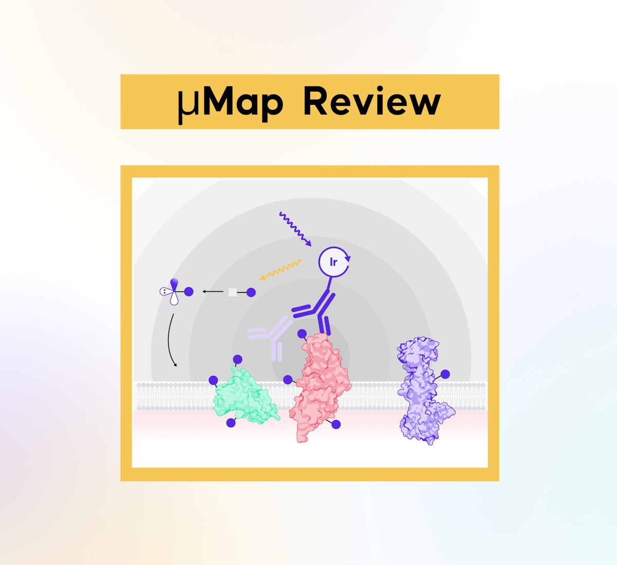 “µMAP”-ping the Way to a Better Understanding of Biomolecular Interactions