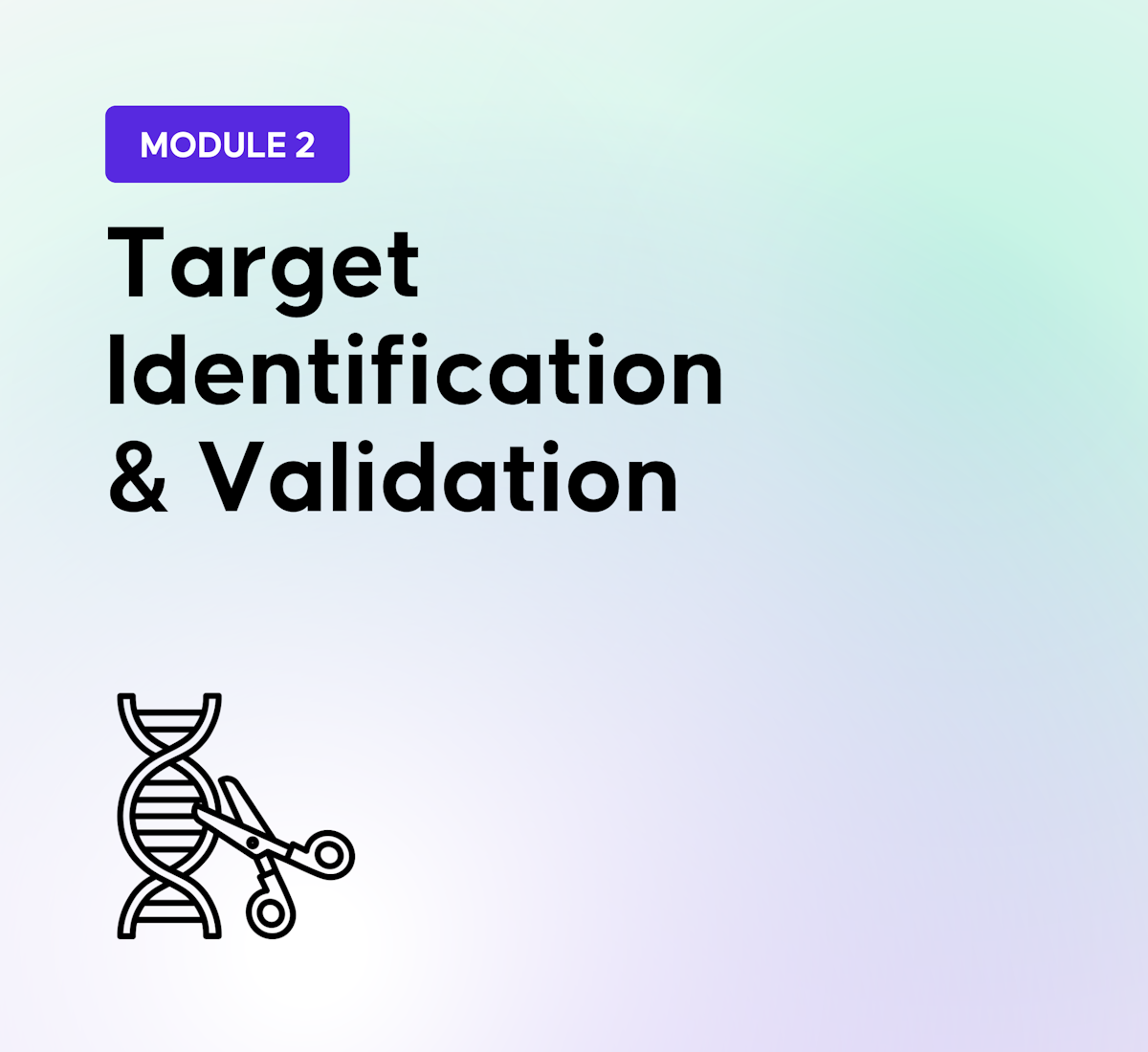 Vision Verification Target Target Identification & Validation