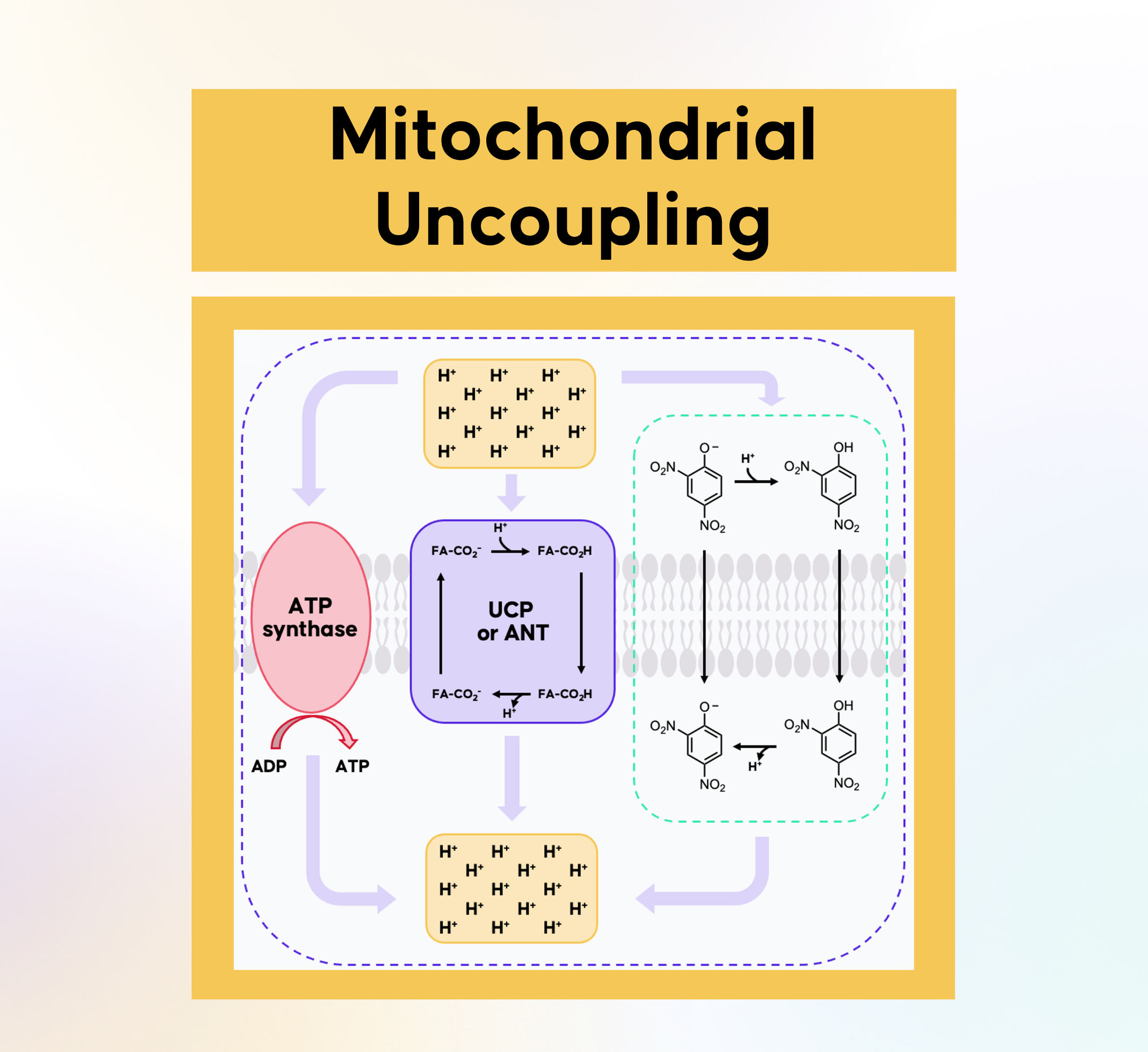 2025 Novel Small Molecule FDA Drug Approvals