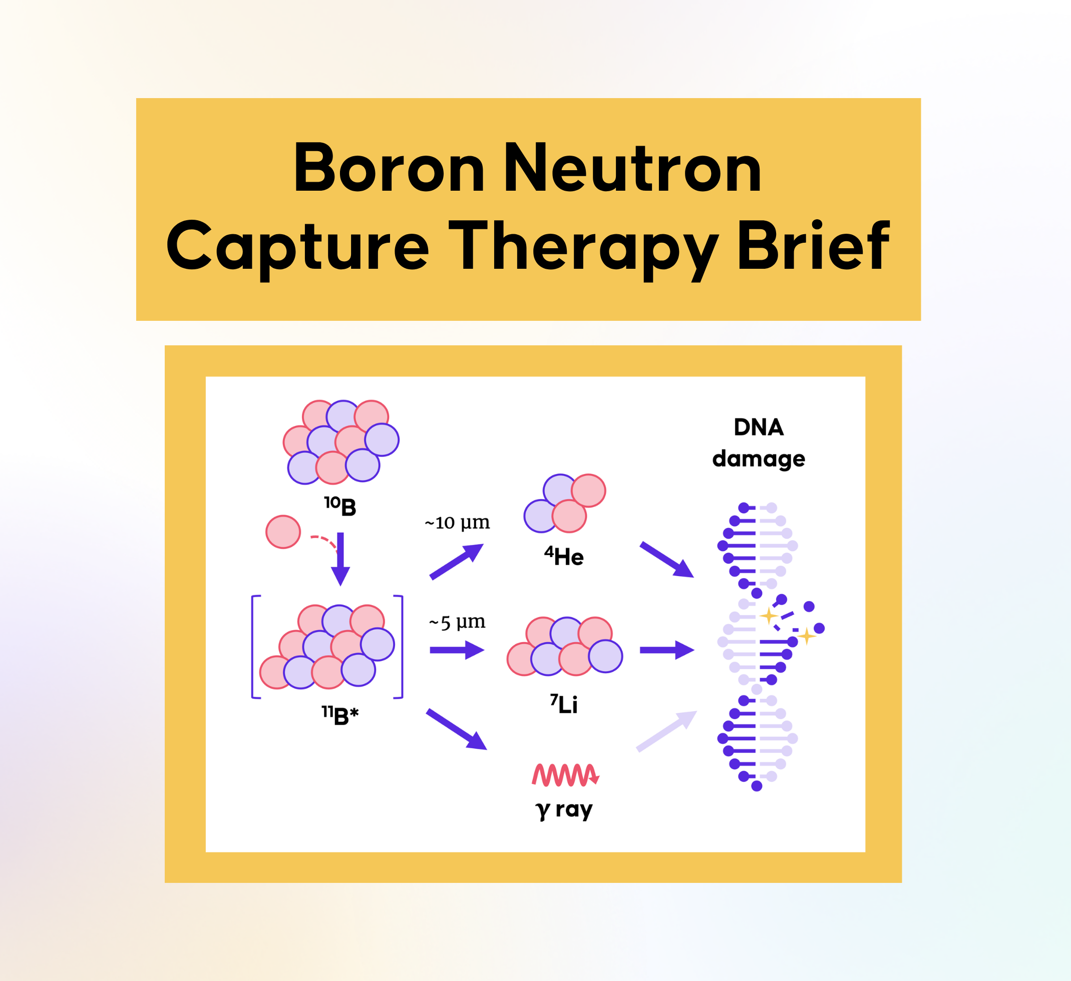 2024 Novel Small Molecule FDA Drug Approvals