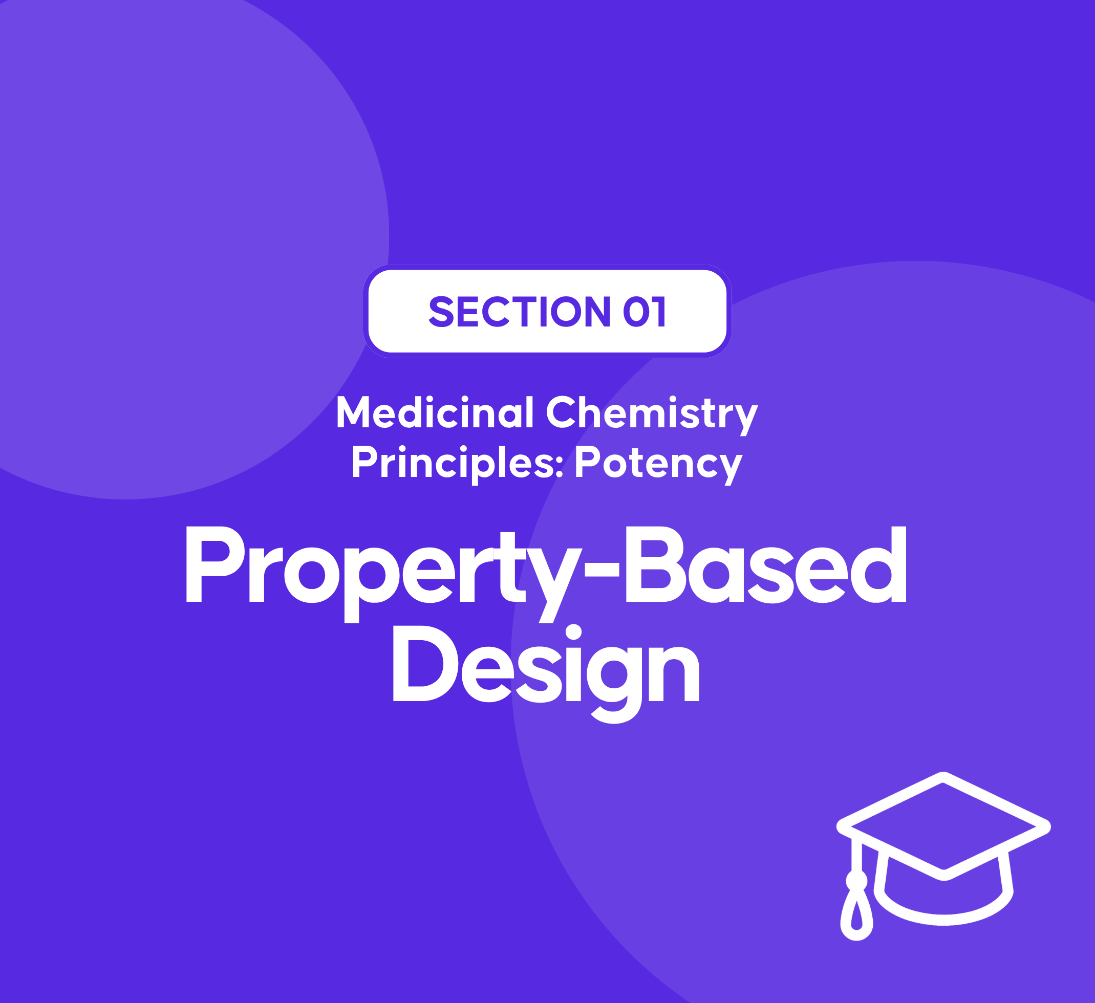 2025 Novel Small Molecule FDA Drug Approvals