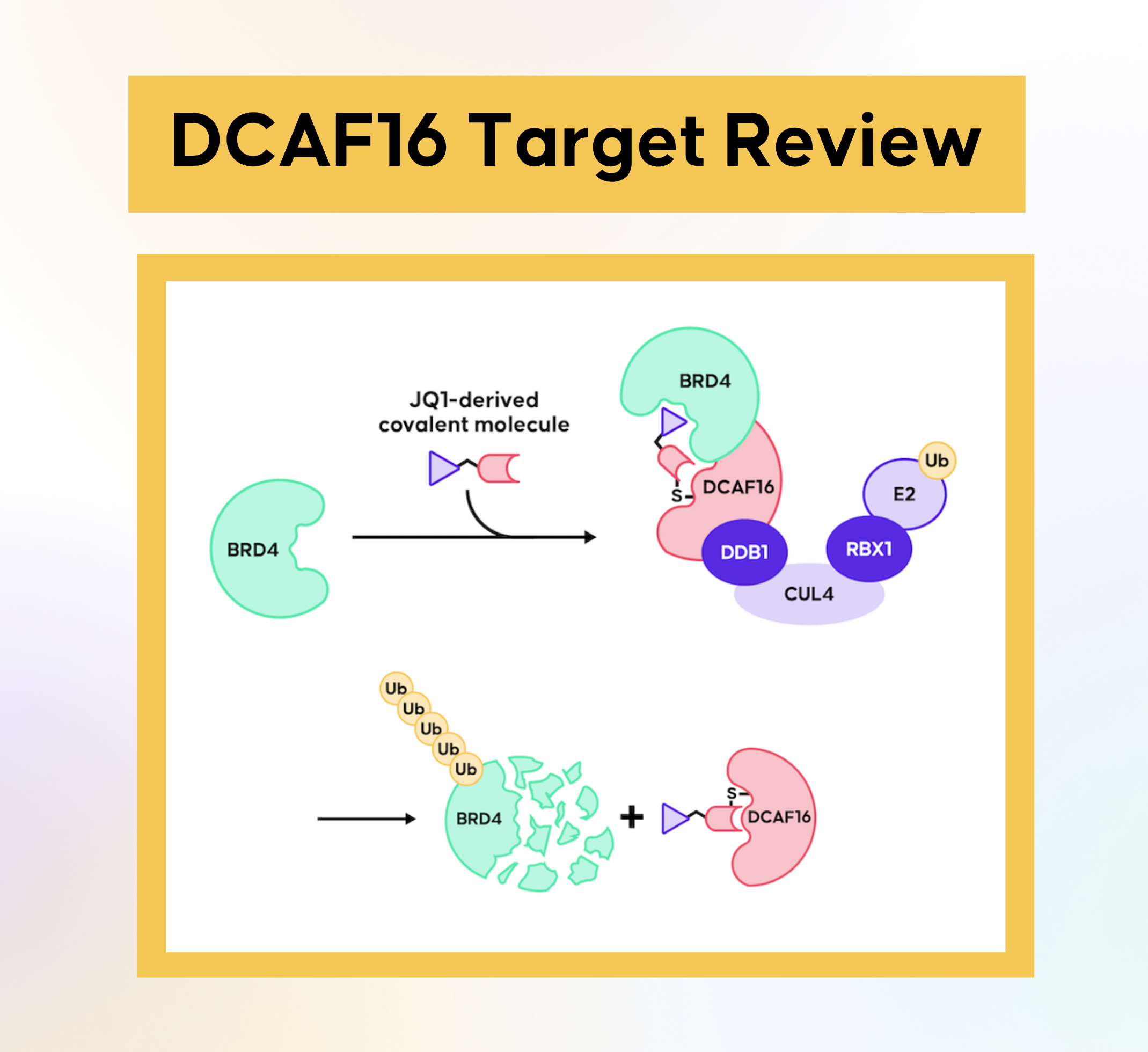 2021 Oncology FDA Approvals: Small Molecules Deep Dive