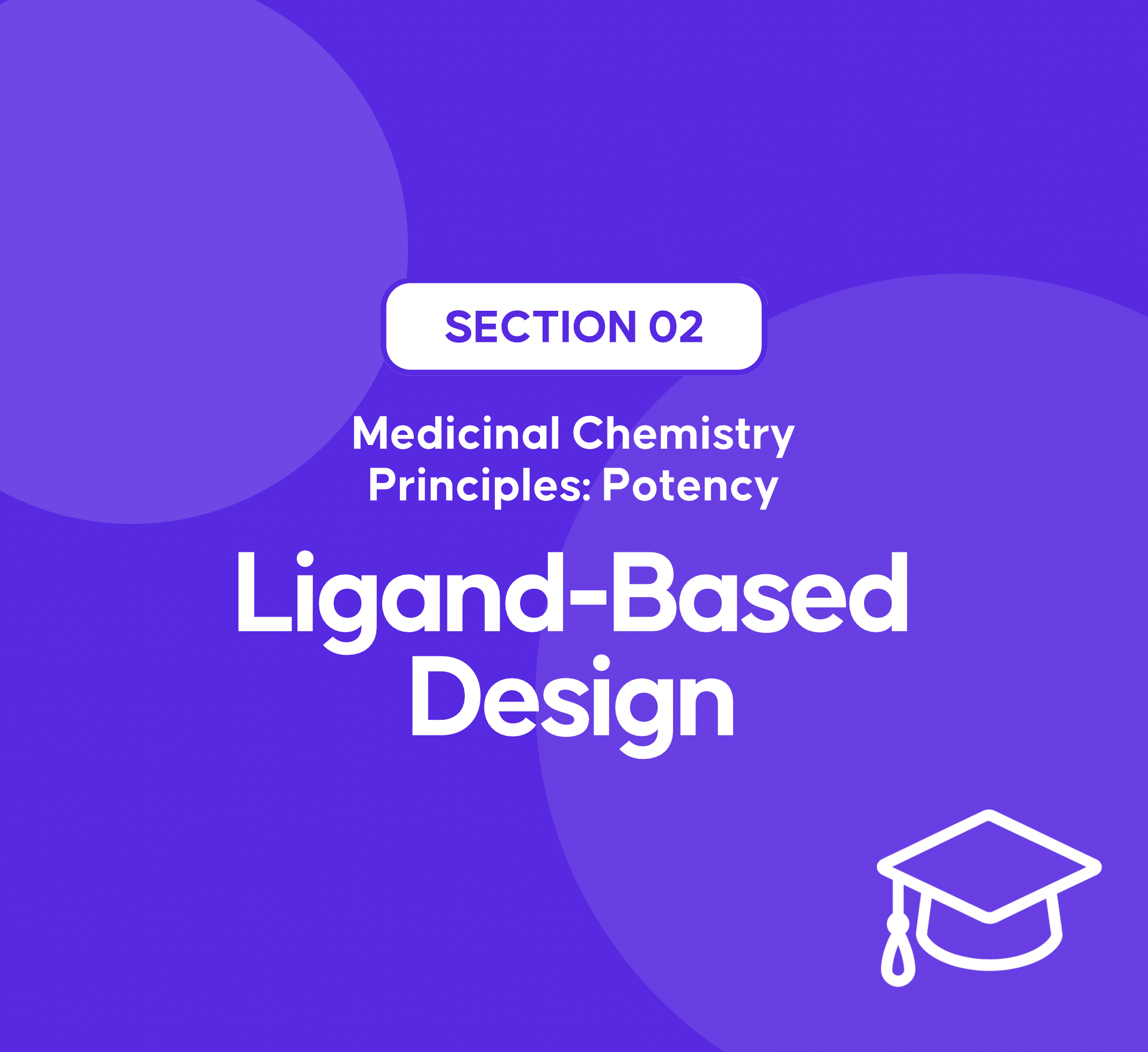 2025 Novel Small Molecule FDA Drug Approvals