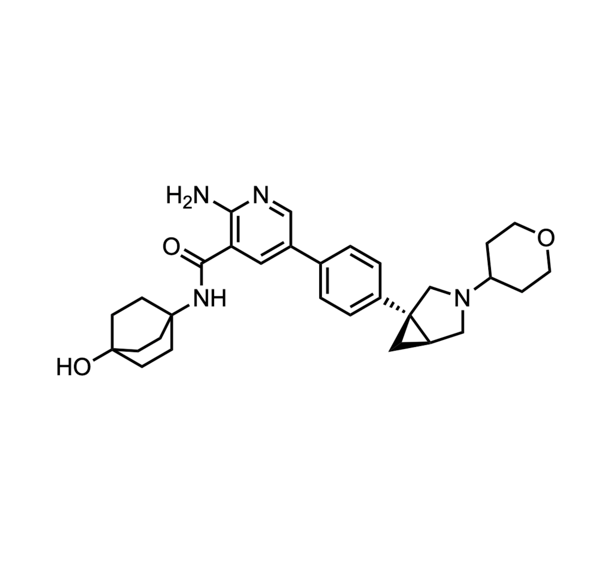 zilurgisertib