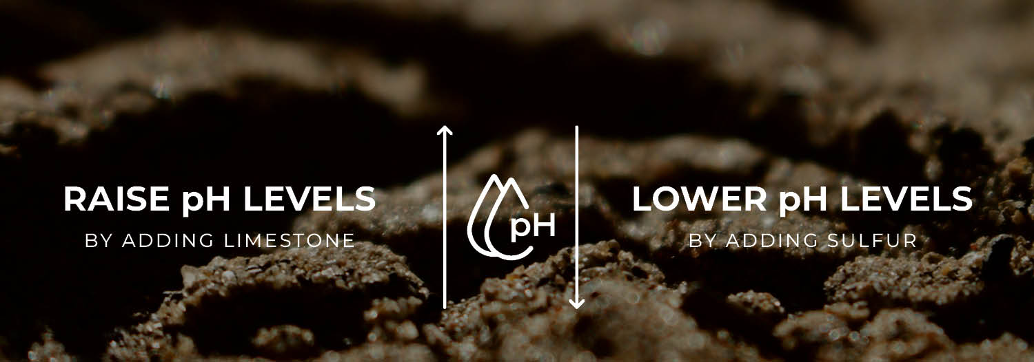 Restoring soil pH through soil testing