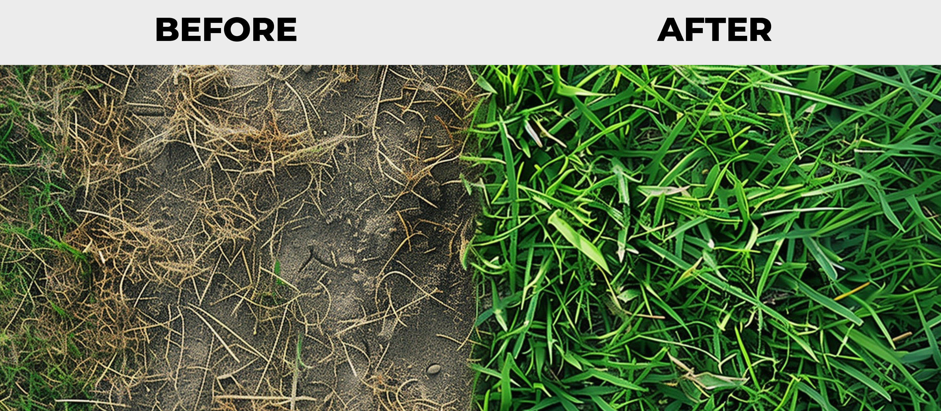 Soil testing before and after