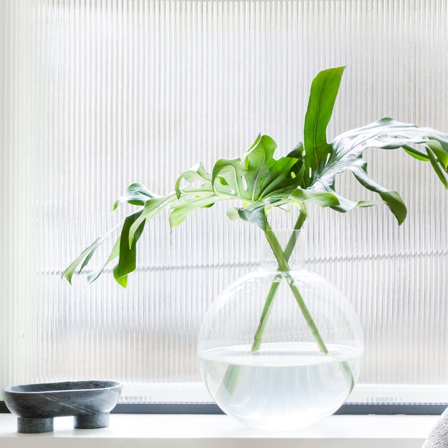 A plant in a clear vase