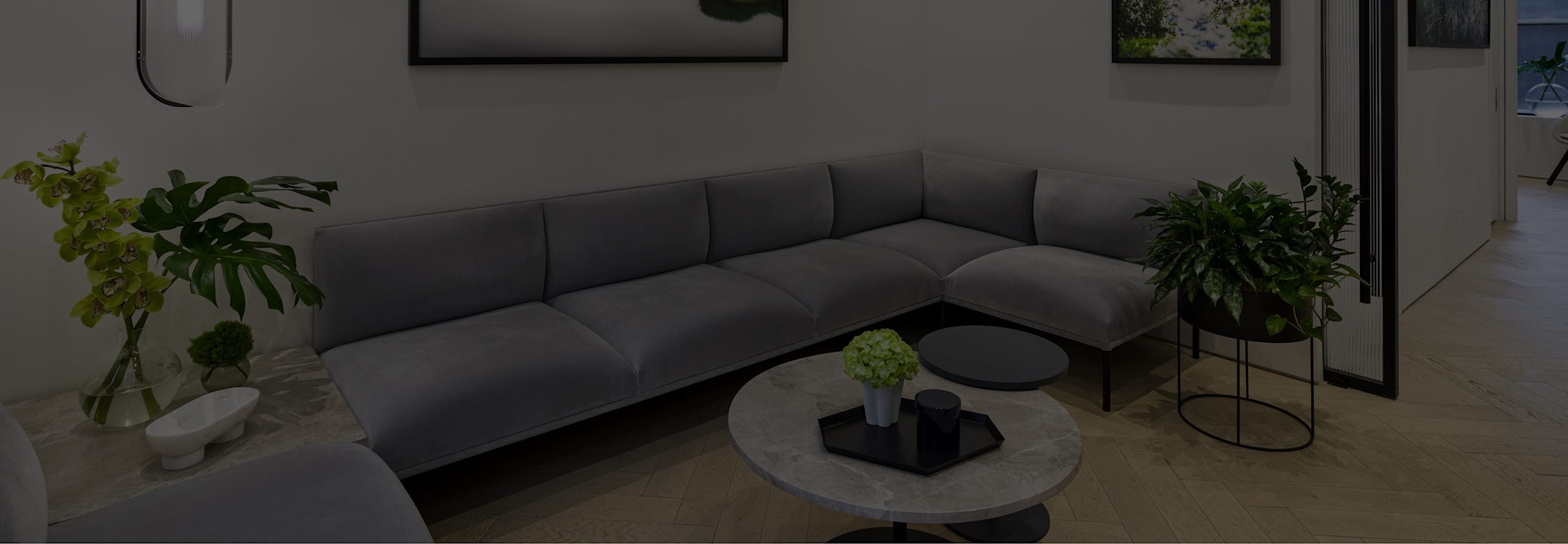 Banner Media