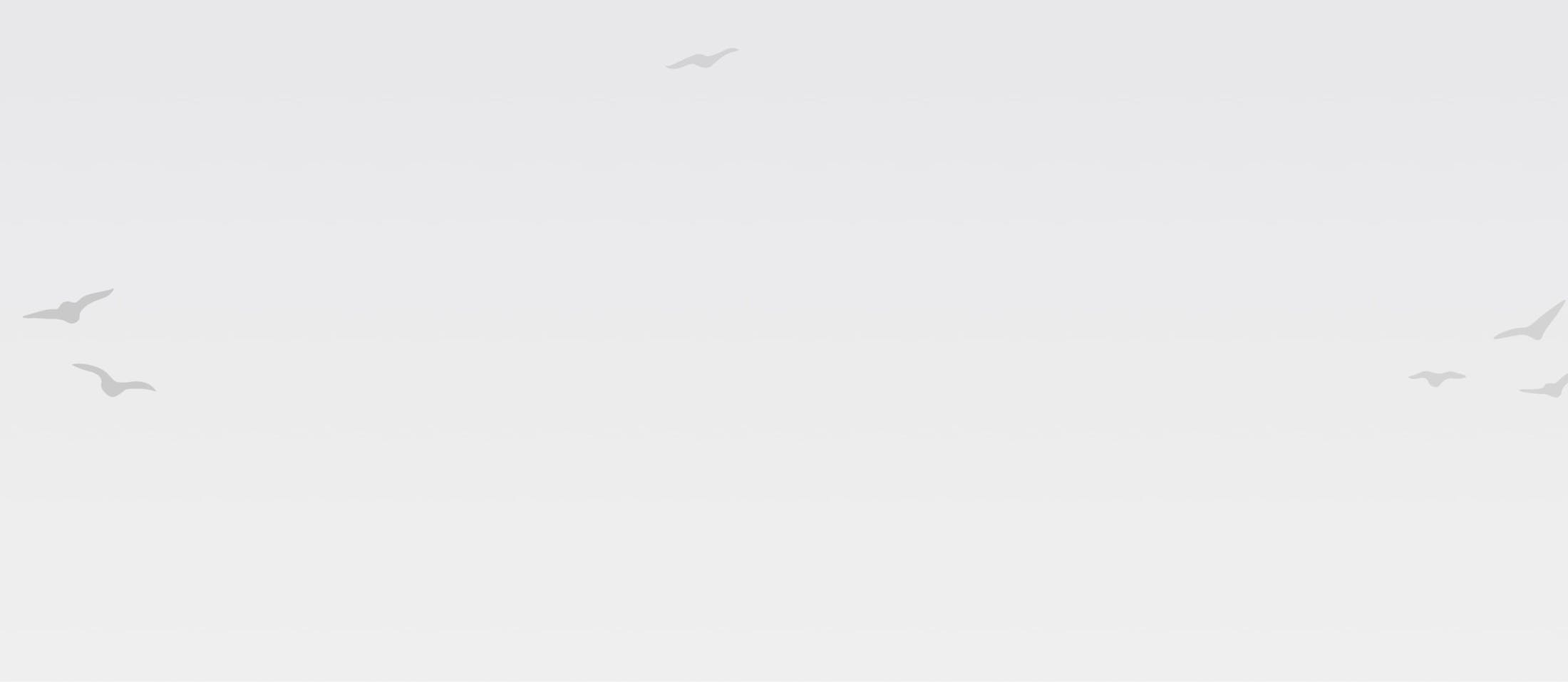 Background image with birds flying