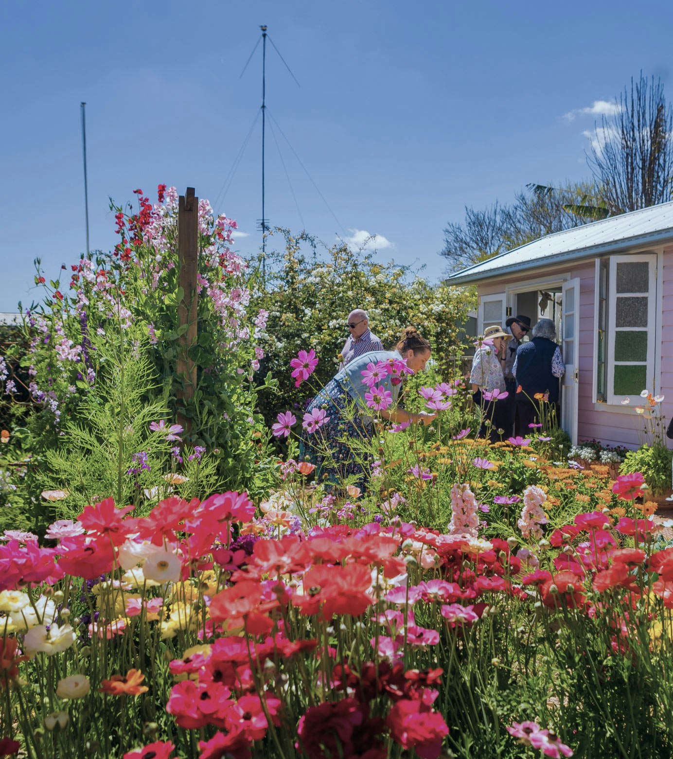 FERTILISER FOR 
YOUR GARDEN