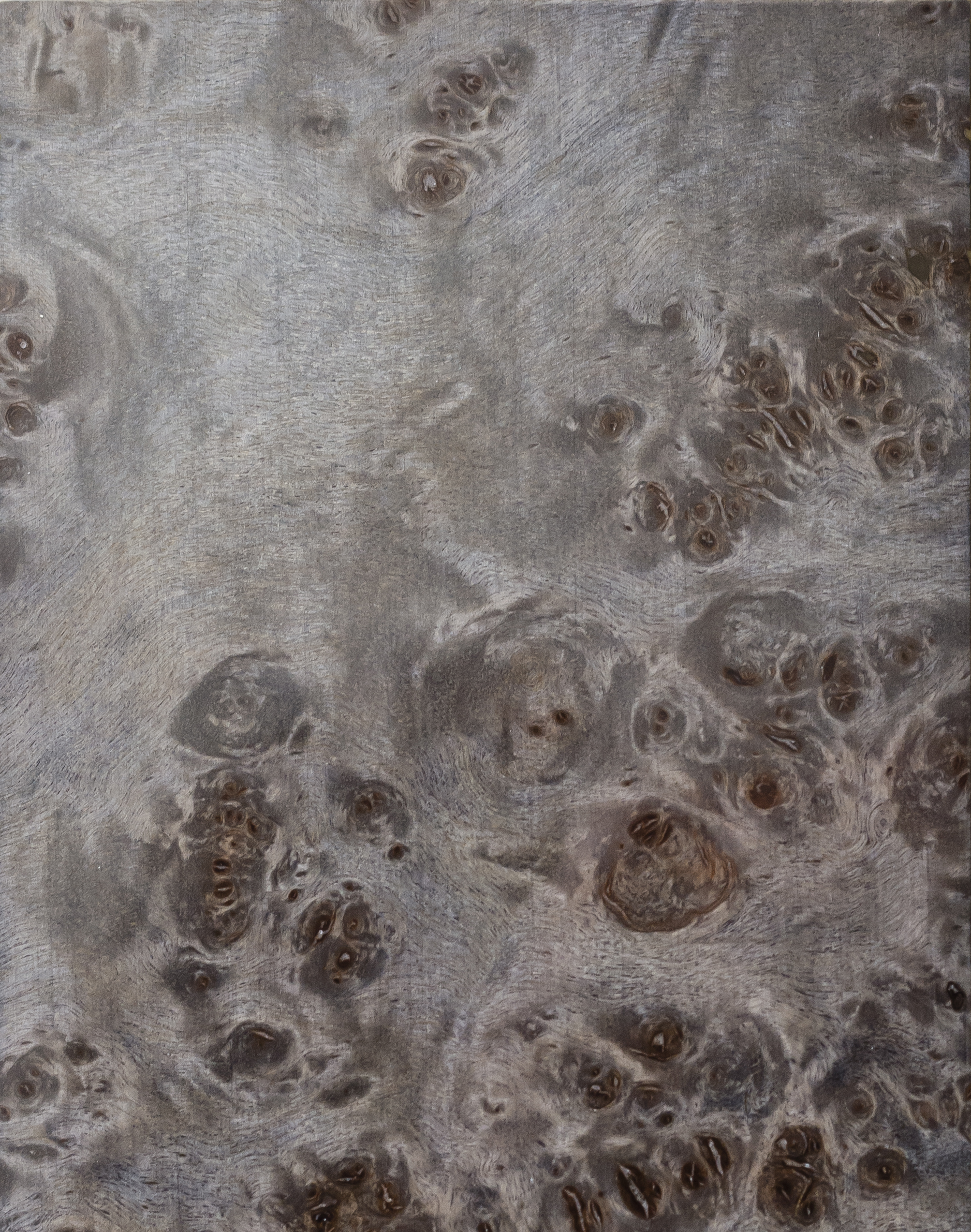 マカッサル — BUBEN&ZORWEG