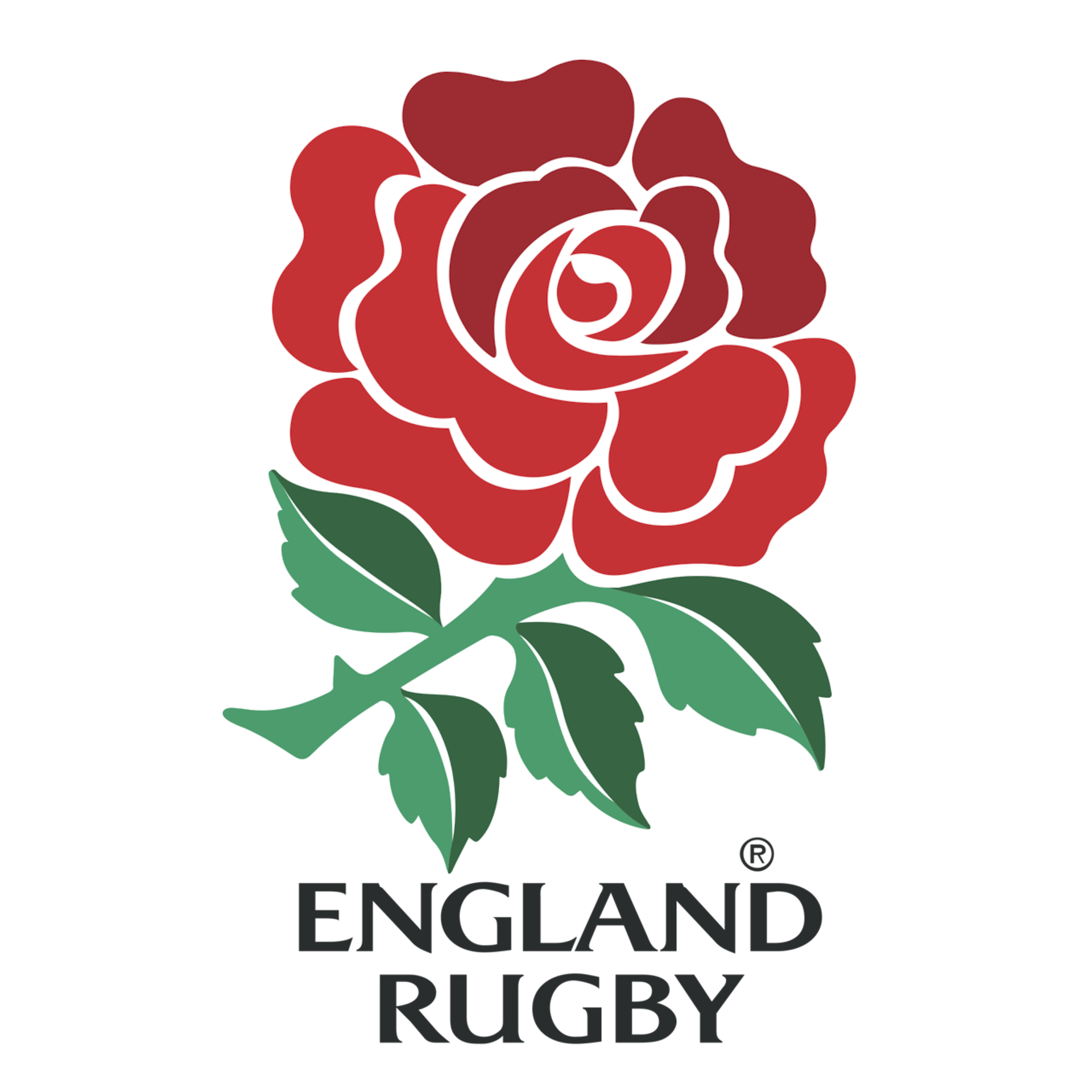O2 Touch | Seed