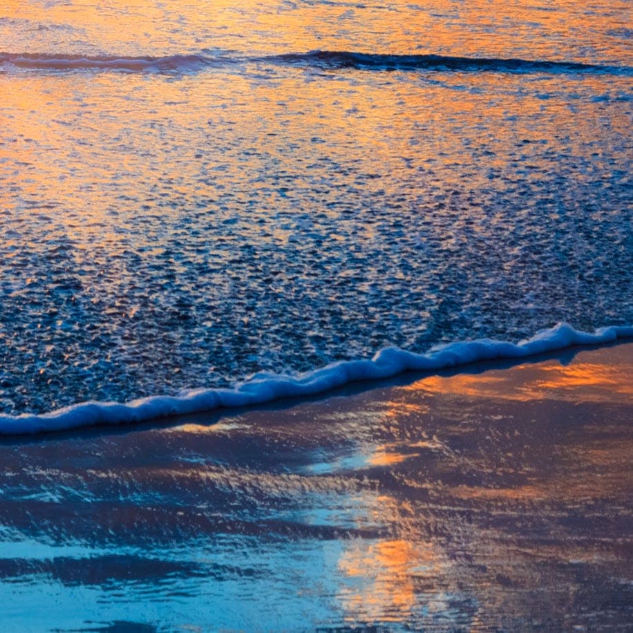 the ocean