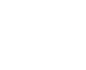 The Crocodile