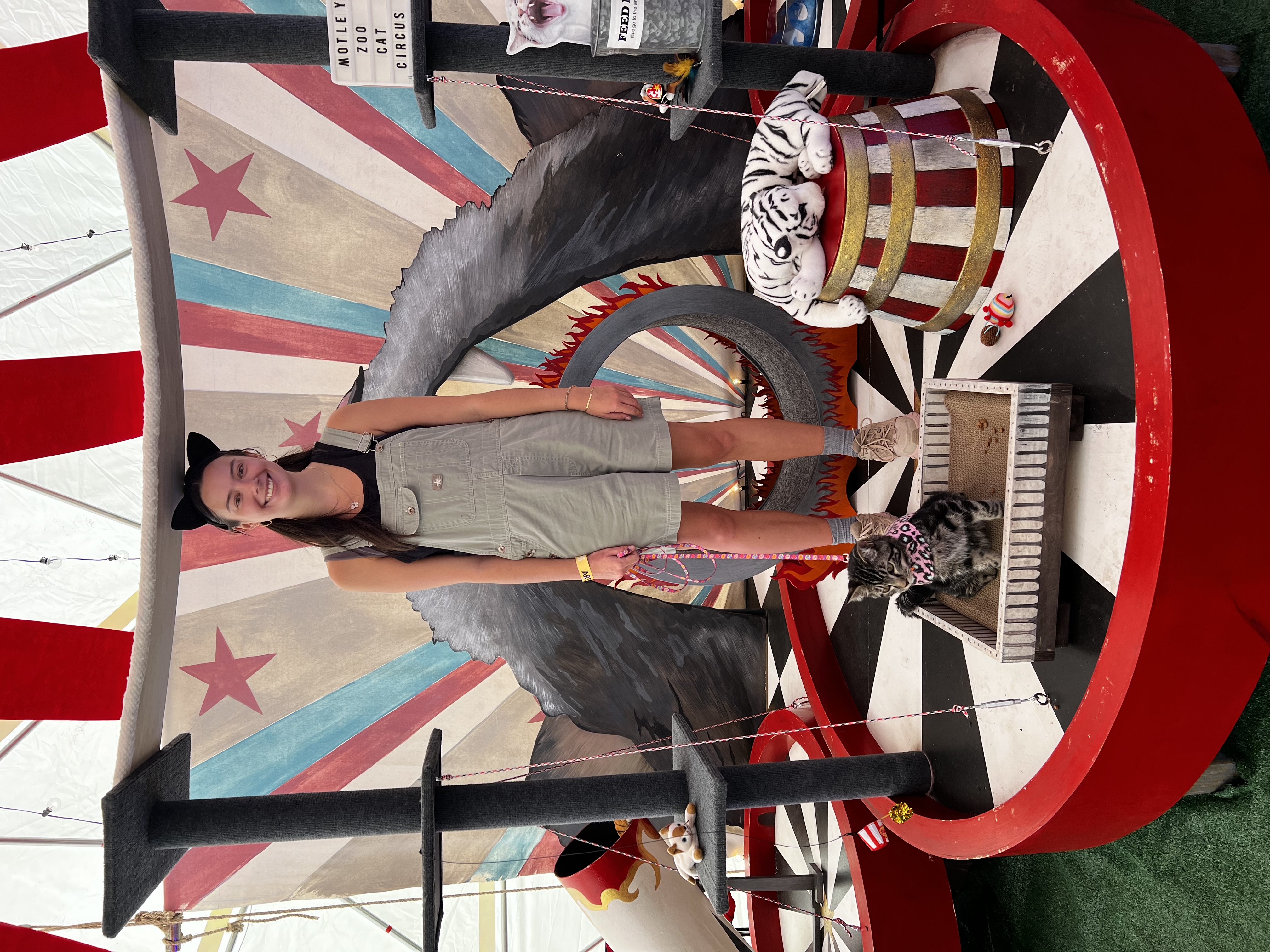 Motley Zoo Cat Circus