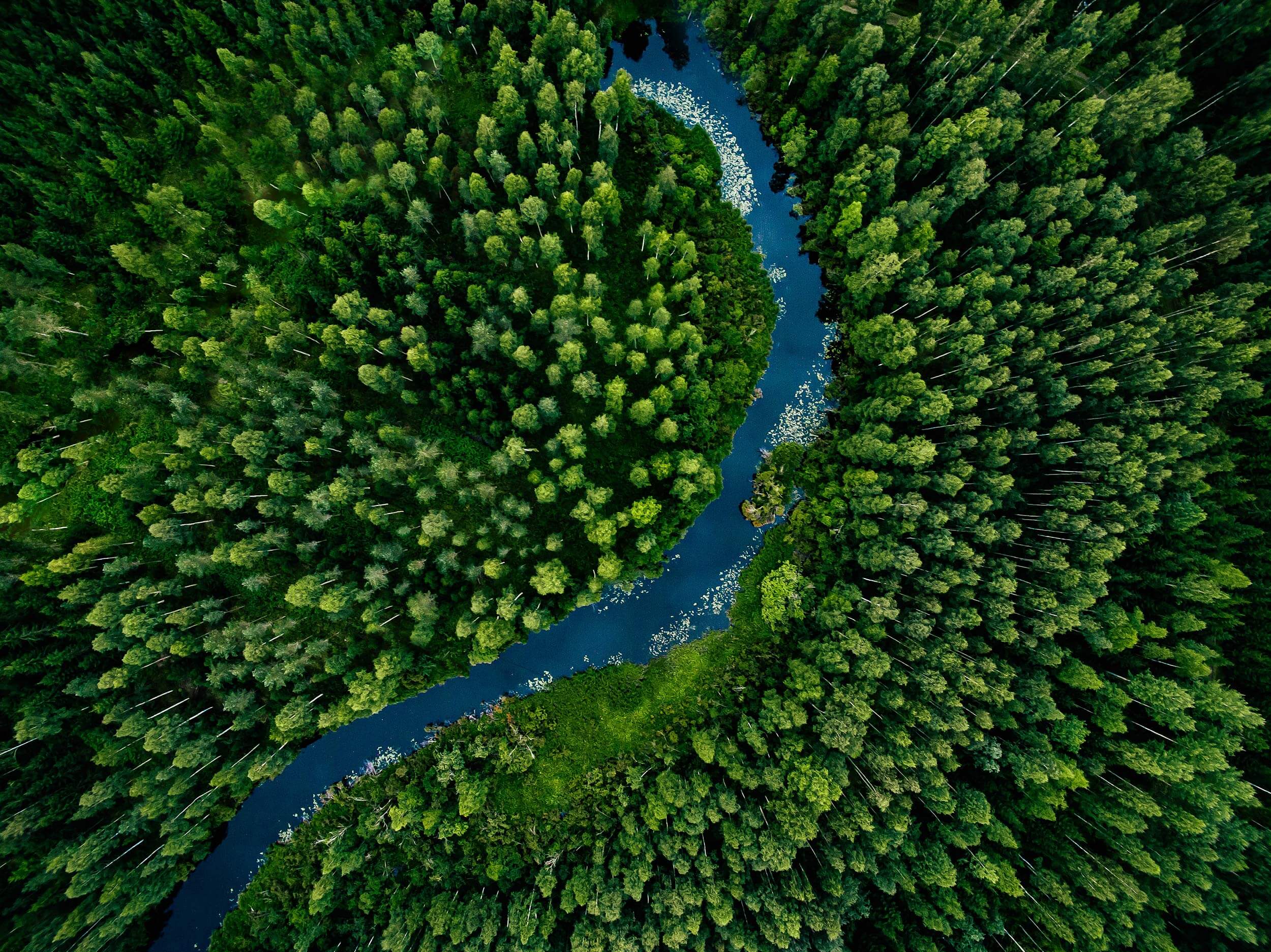 Go green with Torus specs and data